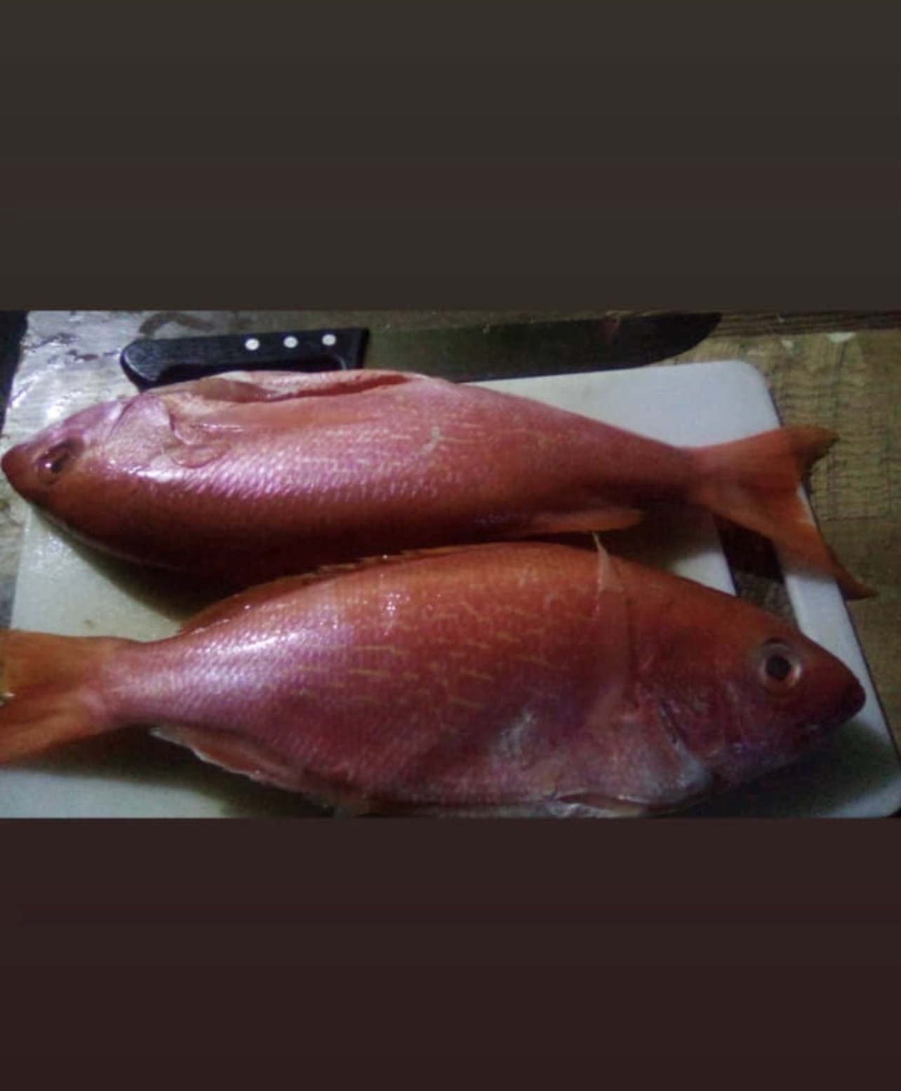 1LB FISH