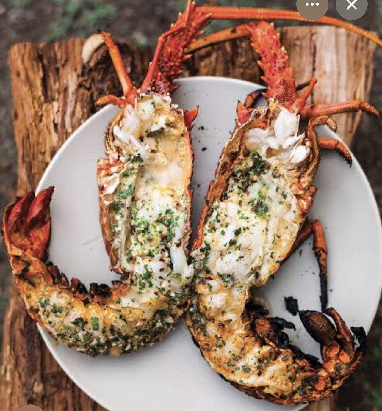 Lobster (1)